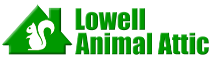 Lowell Animal Attic